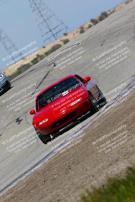 media/Apr-01-2023-Speed Ventures(Sat) [[0a098caa64]]/Purple Group/Outside Grapevine/